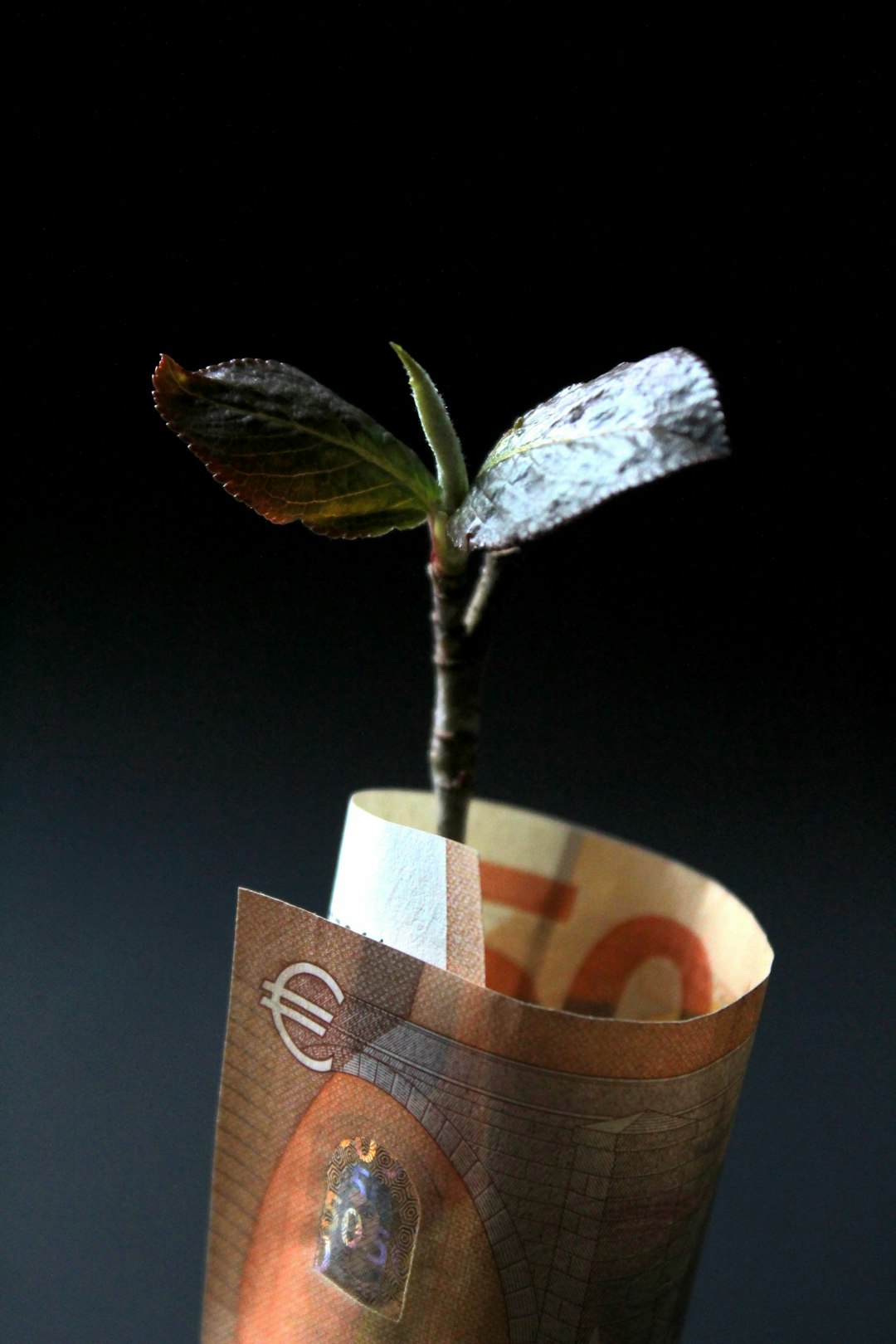 brown-and-white-paper-bag-otqace-semi
